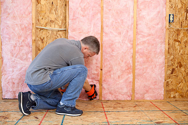 Best Residential Insulation in Boyd, TX